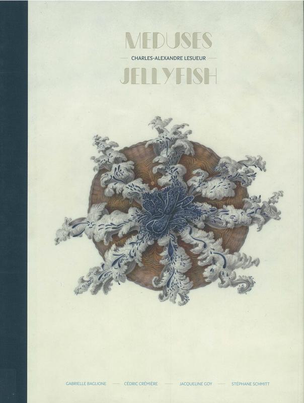 Charles-Alexandre Lesueur : meduses - jellyfish / Gabrielle Baglione, Cedric Cremiere, Jacqueline Goy & Stephane Schmitt cover