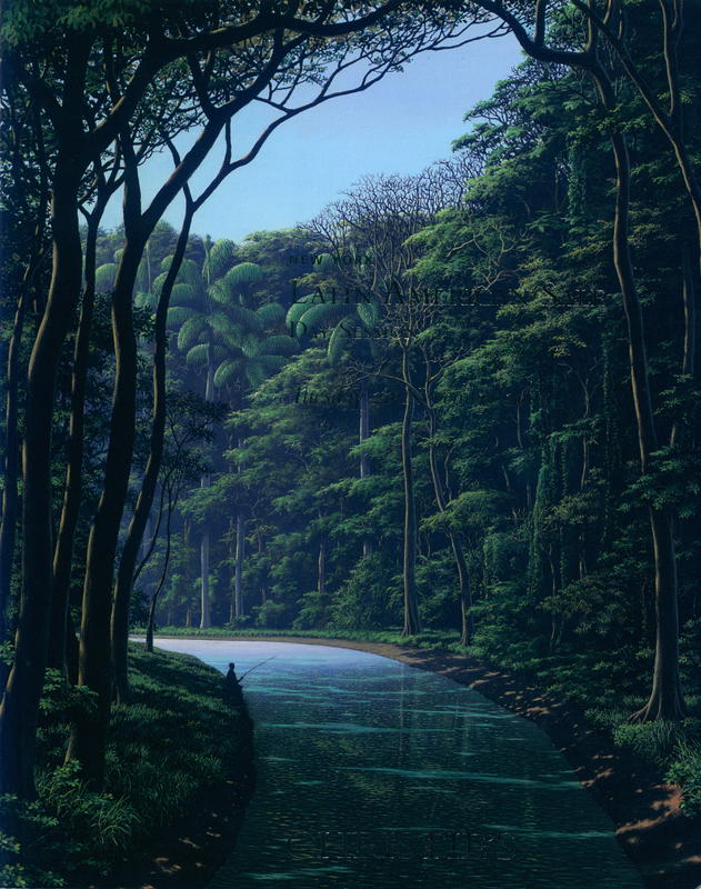 Latin American sale : day session, Tuesday 20 November 2007 / Christie's cover