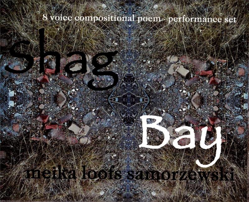 Shag Bay : 8 voice compositional poem-performance set / Meika Loofs Samorzewski cover