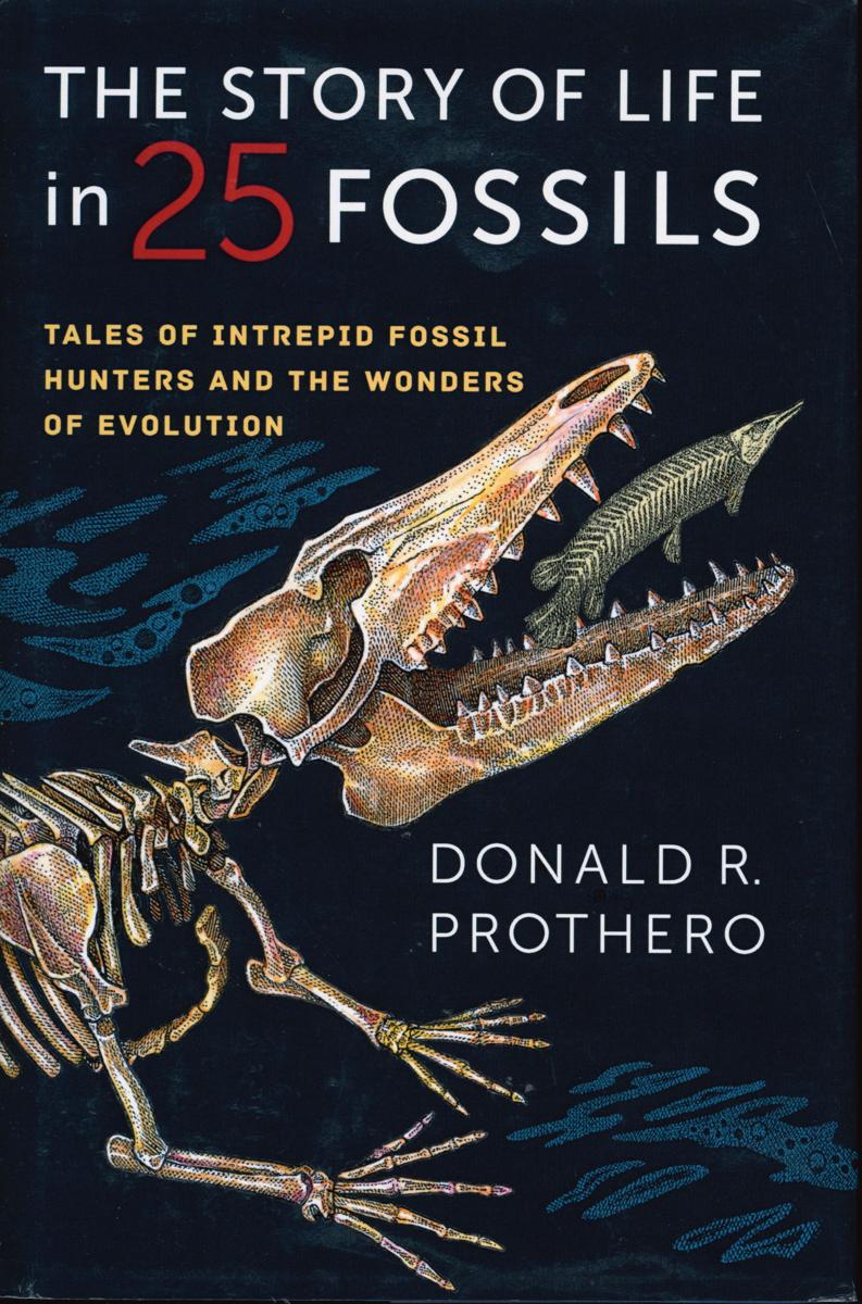 The story of life in 25 fossils : tales of intrepid fossil hunters and the wonders of evolution / Donald R. Prothero cover