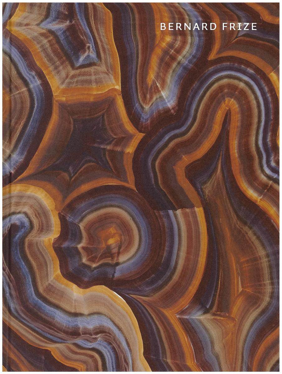 Bernard Frize / [texts by Jean-Pierre Criqui ; Suzanne Hudson] cover