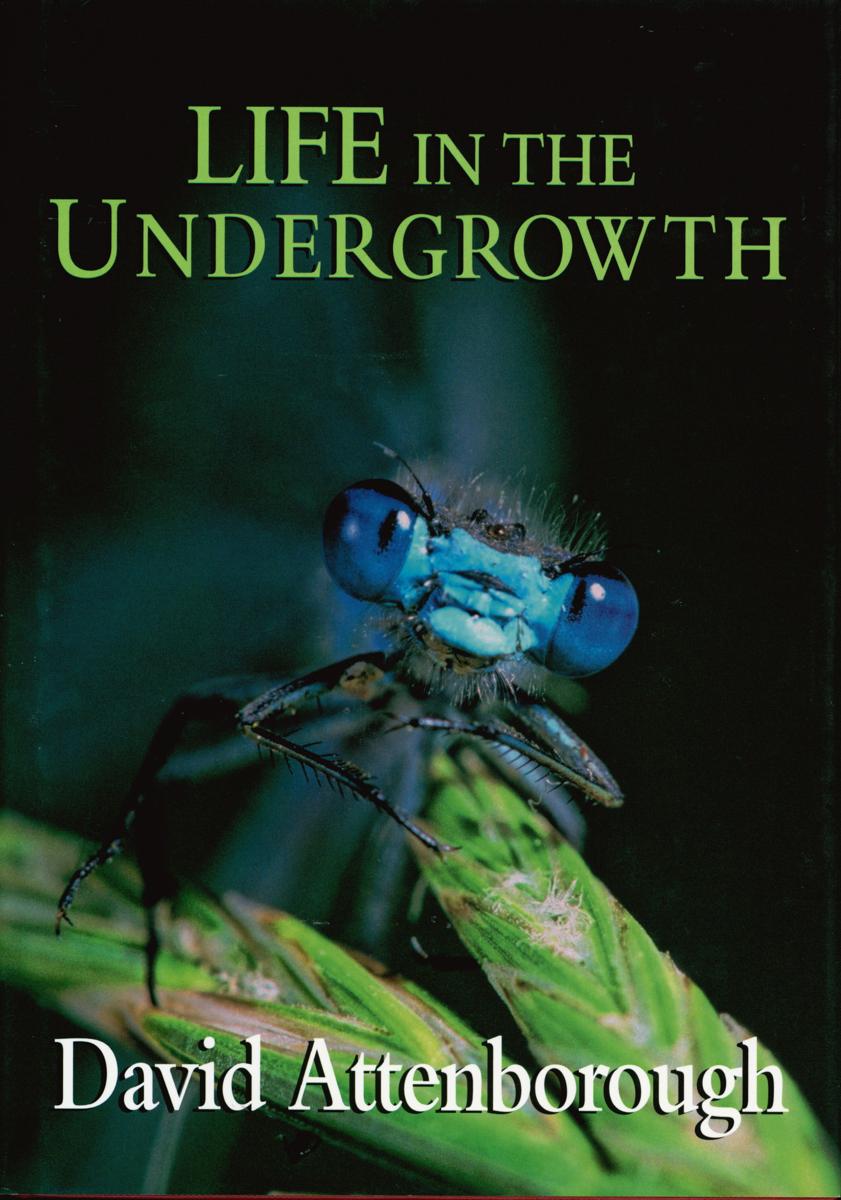 Life in the undergrowth / David Attenborough cover
