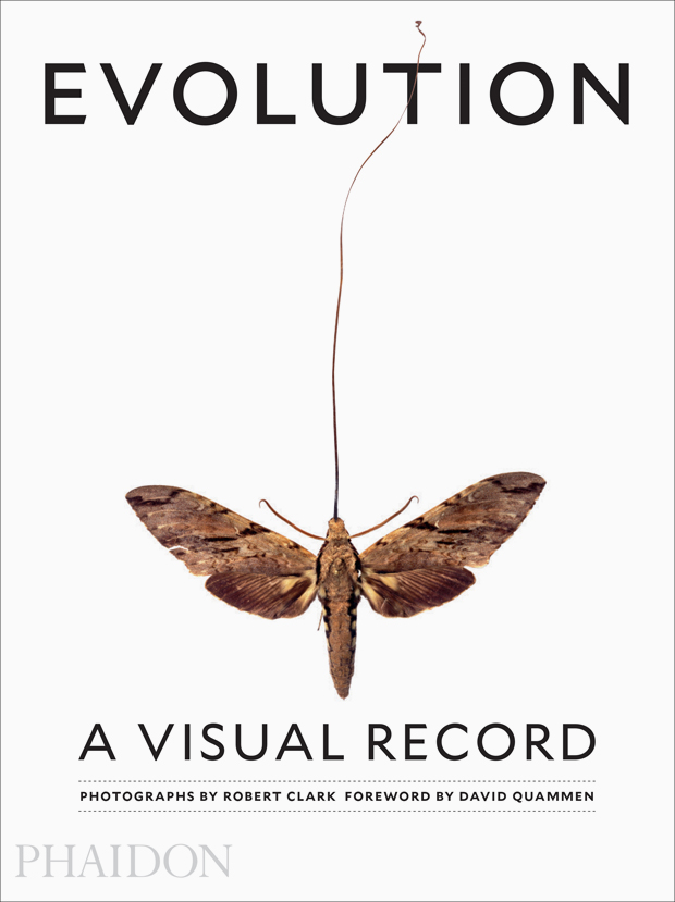 Evolution : a visual record / photographs by Robert Clark ; foreword by David Quammen ; text by Joseph Wallace cover