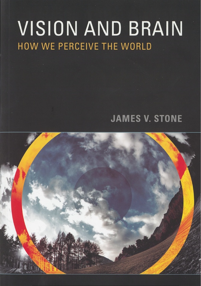 Vision and brain : how we perceive the world / James V. Stone cover