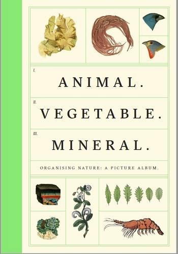Animal, vegetable, mineral : organising nature, a picture album cover