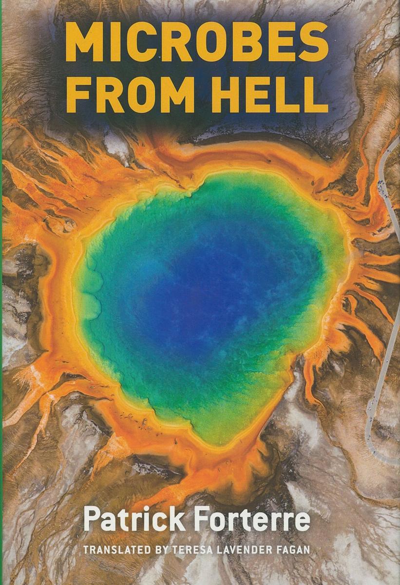 Microbes from hell / Patrick Forterre ; translated by Teresa Lavender Fagan cover