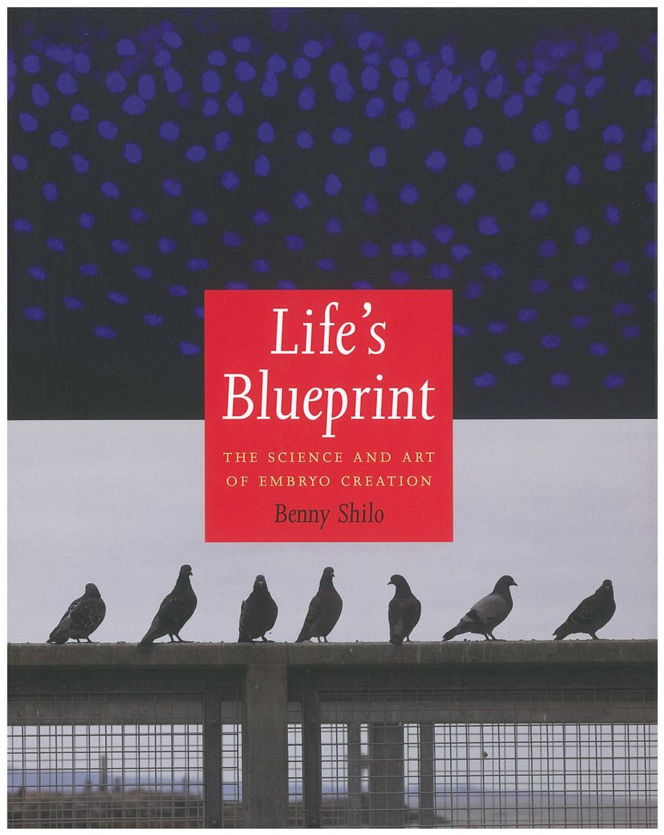 Life's blueprint : the science and art of embryo creation / Benny Shilo cover