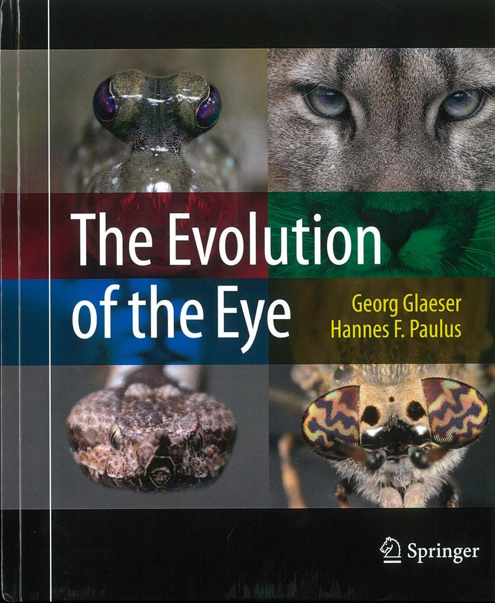 The evolution of the eye / Georg Glaeser, Hannes F. Paulus cover