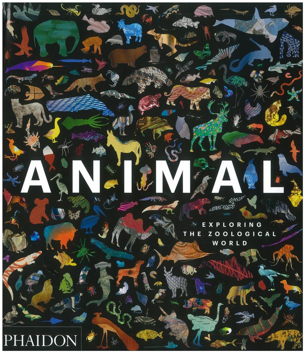 Animal : exploring the zoological world / [commissioning editor, Victoria Clarke] cover