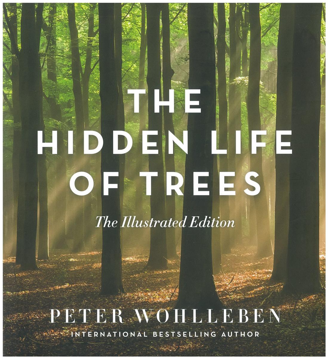 The hidden life of trees / Peter Wohlleben ; translated by Jane Billinghurst cover