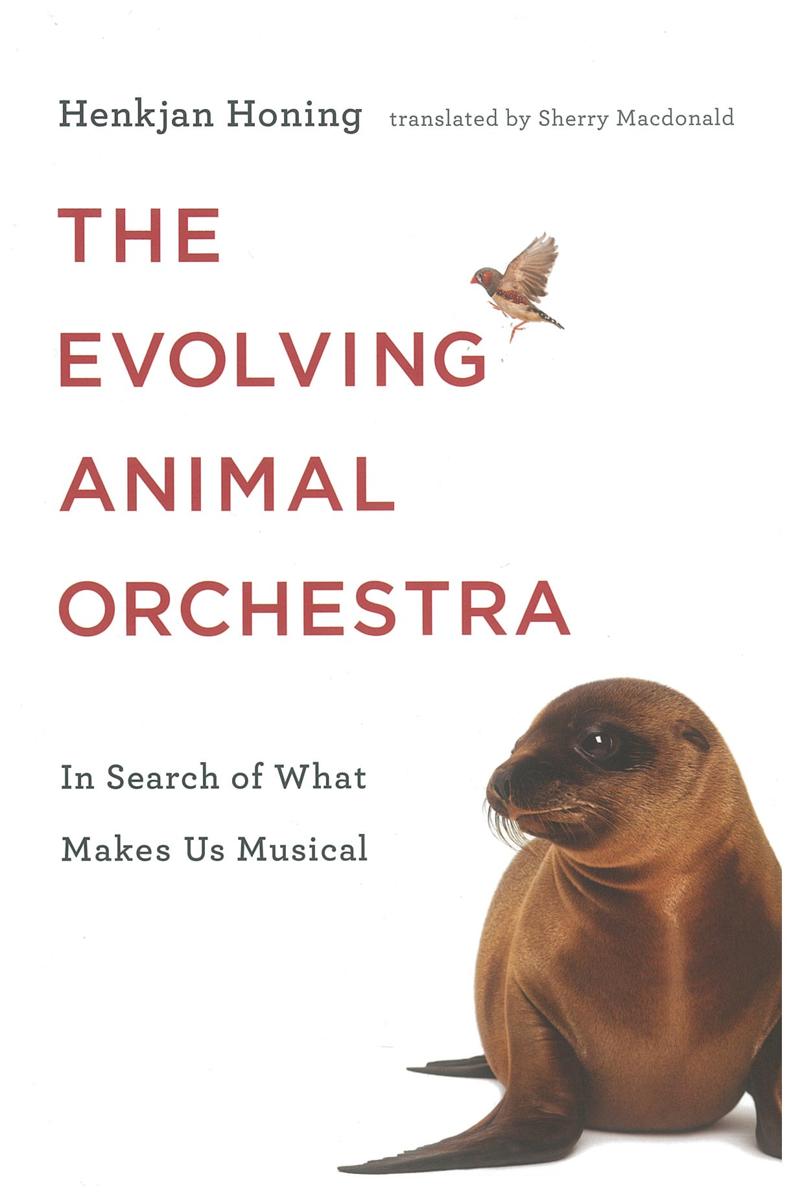 The evolving animal orchestra : in search of what makes us musical / Henkjan Honing ; translated by Sherry MacDonald cover