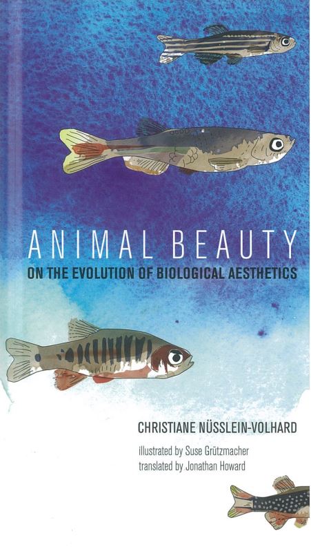 Animal beauty : on the evolution of biological aesthetics / Christiane Nüsslein-Volhard ; illustrated by Suse Grutzmacher ; translated by Jonathan Howard cover