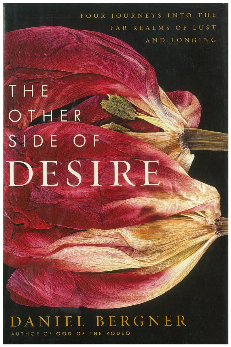 The other side of desire : four journeys into the far realms of lust and longing / Daniel Bergner cover