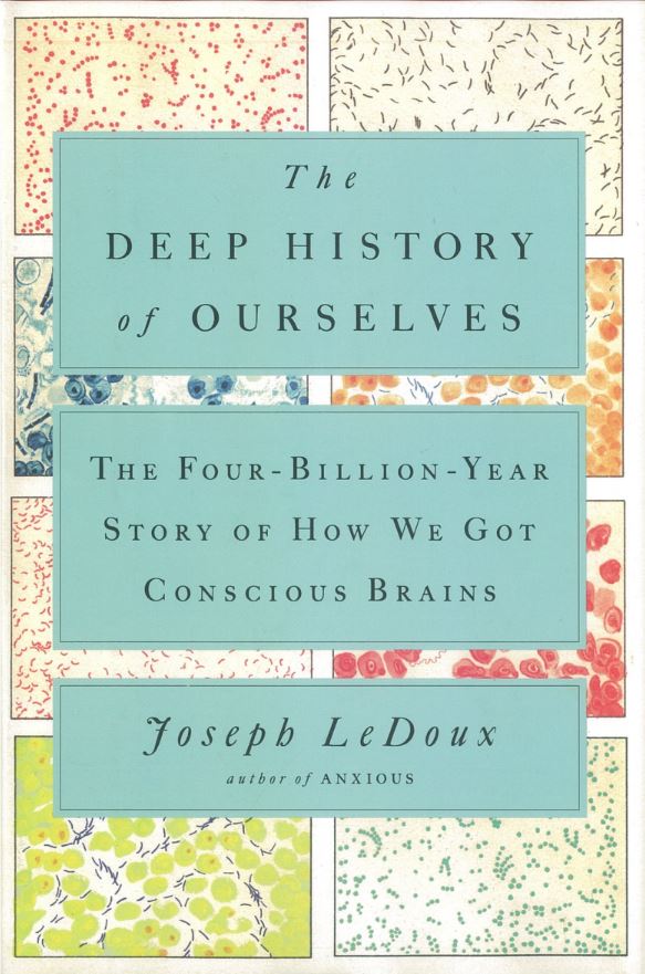 The deep history of ourselves : the four-billion-year story of how we got conscious brains / Joseph LeDoux ; illustrations by Caio da Silva Sorrentino cover