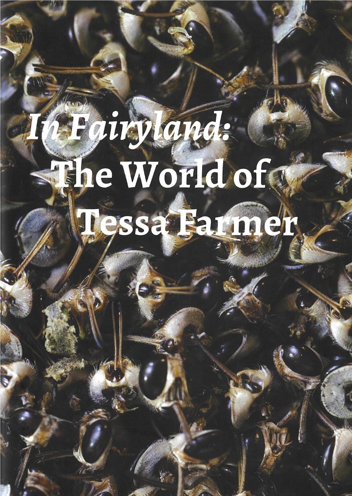 In fairyland : the world of Tessa Farmer / edited by Catriona McAra cover