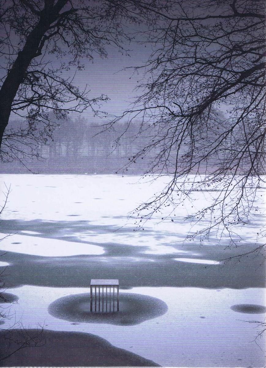 Alfredo Jaar : the garden of good and evil cover