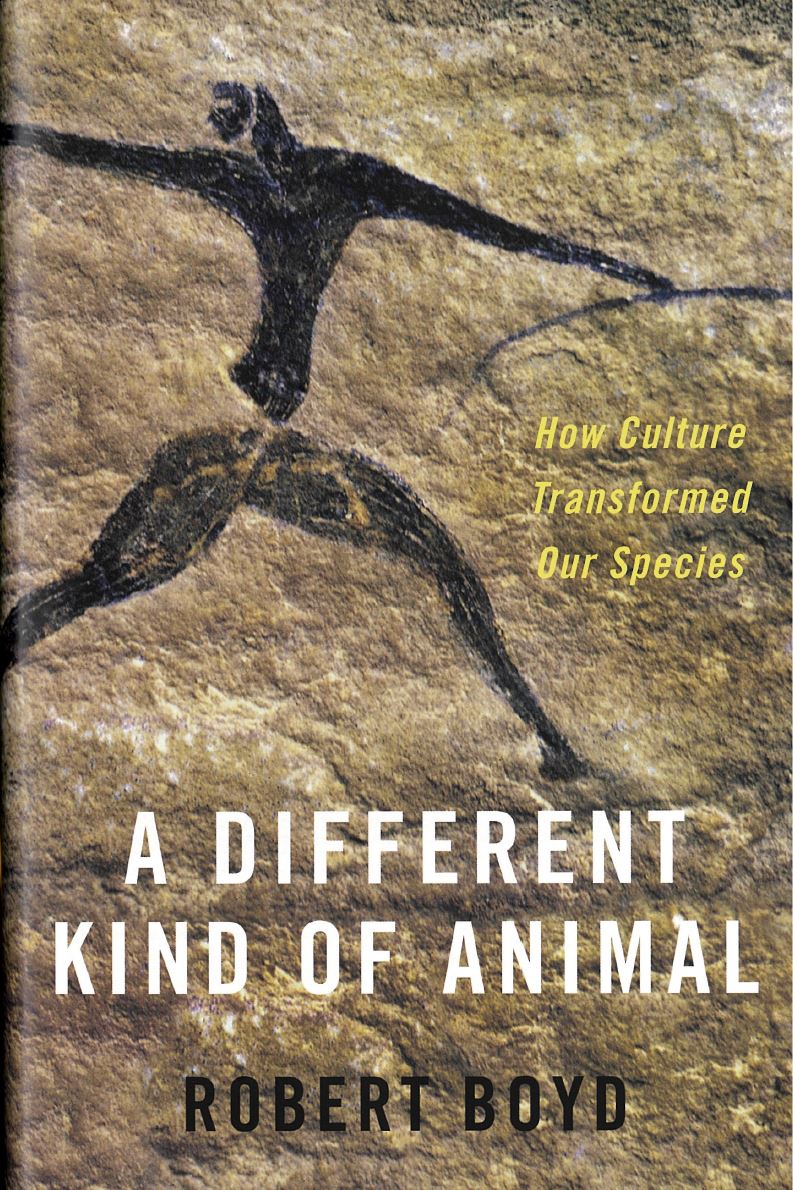 A different kind of animal : how culture transformed our species / Robert Boyd cover