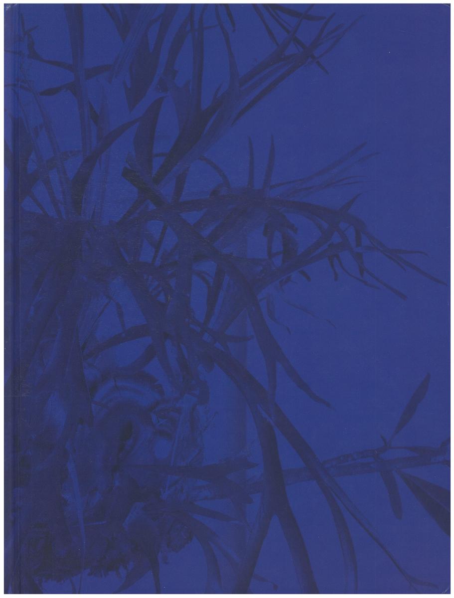 Artificial light : new light-based sculpture and installation art : Jennifer Allora and Guillermo Calzadilla, Spencer Finch, Ceal Floyer, Iván Navarro, Nathaniel Rackowe, Douglas Ross / John B. Ravenal ; with essays by Paula Feldman and Kathleen Forde cover