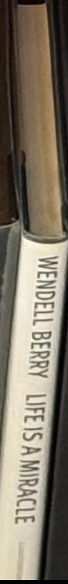 Life is a miracle : an essay against modern superstition spine