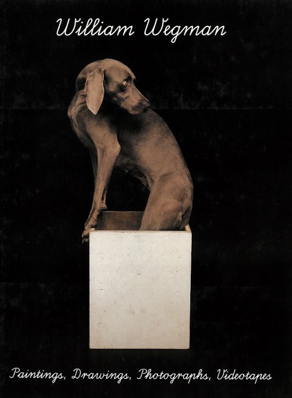 William Wegman : paintings, drawings, photographs, videotapes cover