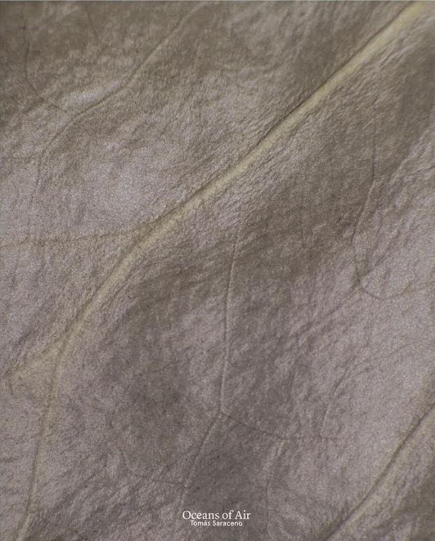 Tomás Saraceno : oceans of air / contributors, Emma Pike, Zoe Rimmer, Eva Diaz, Andry Sculthorpe, Greg Jordan cover