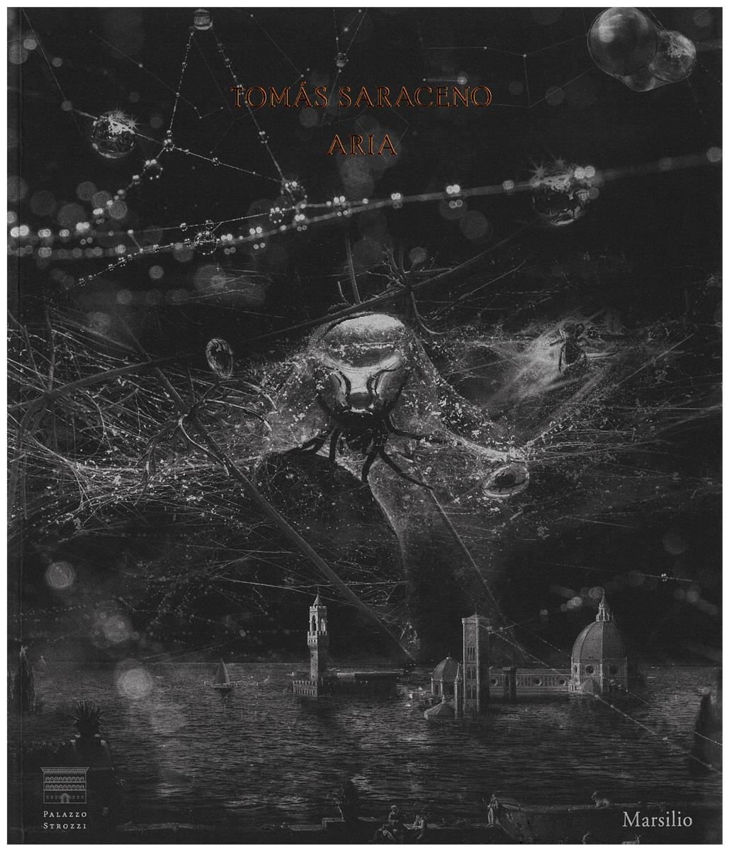 Tomás Saraceno : aria cover