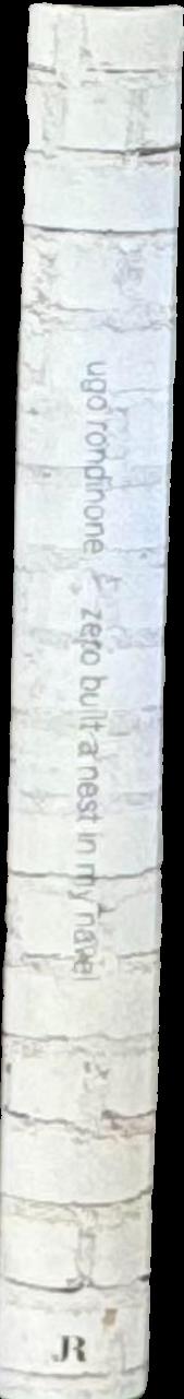 Zero built a nest in my navel spine