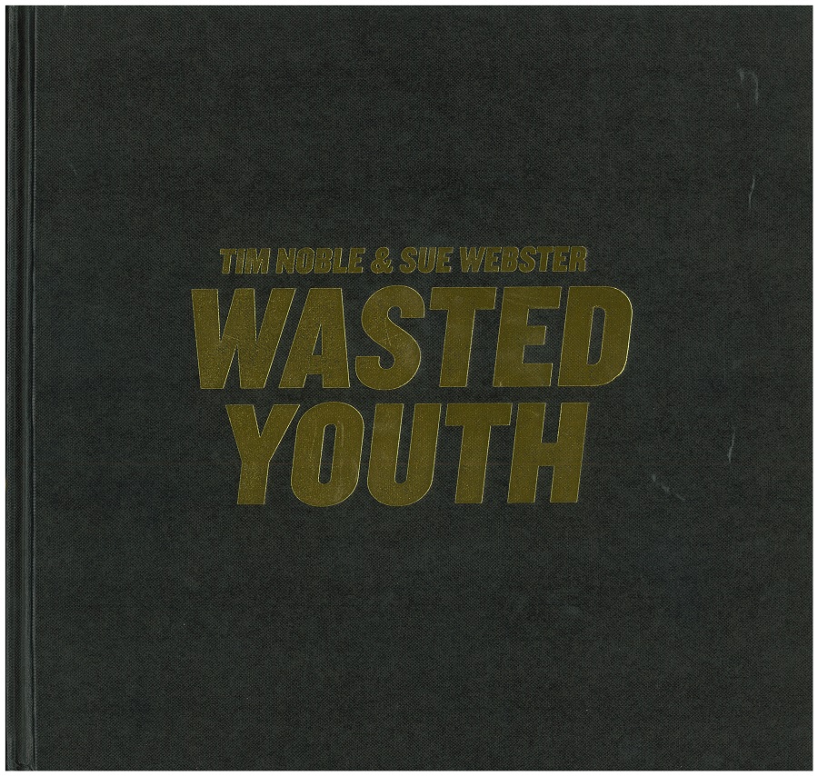 Wasted youth cover