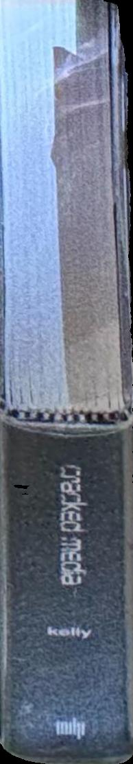 Cracked media : the sound of malfunction spine