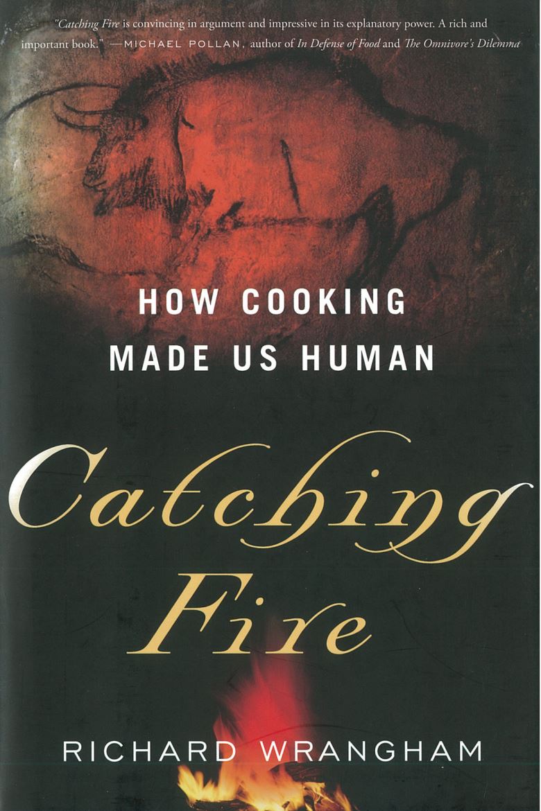 Catching fire : how cooking made us human / Richard Wrangham cover