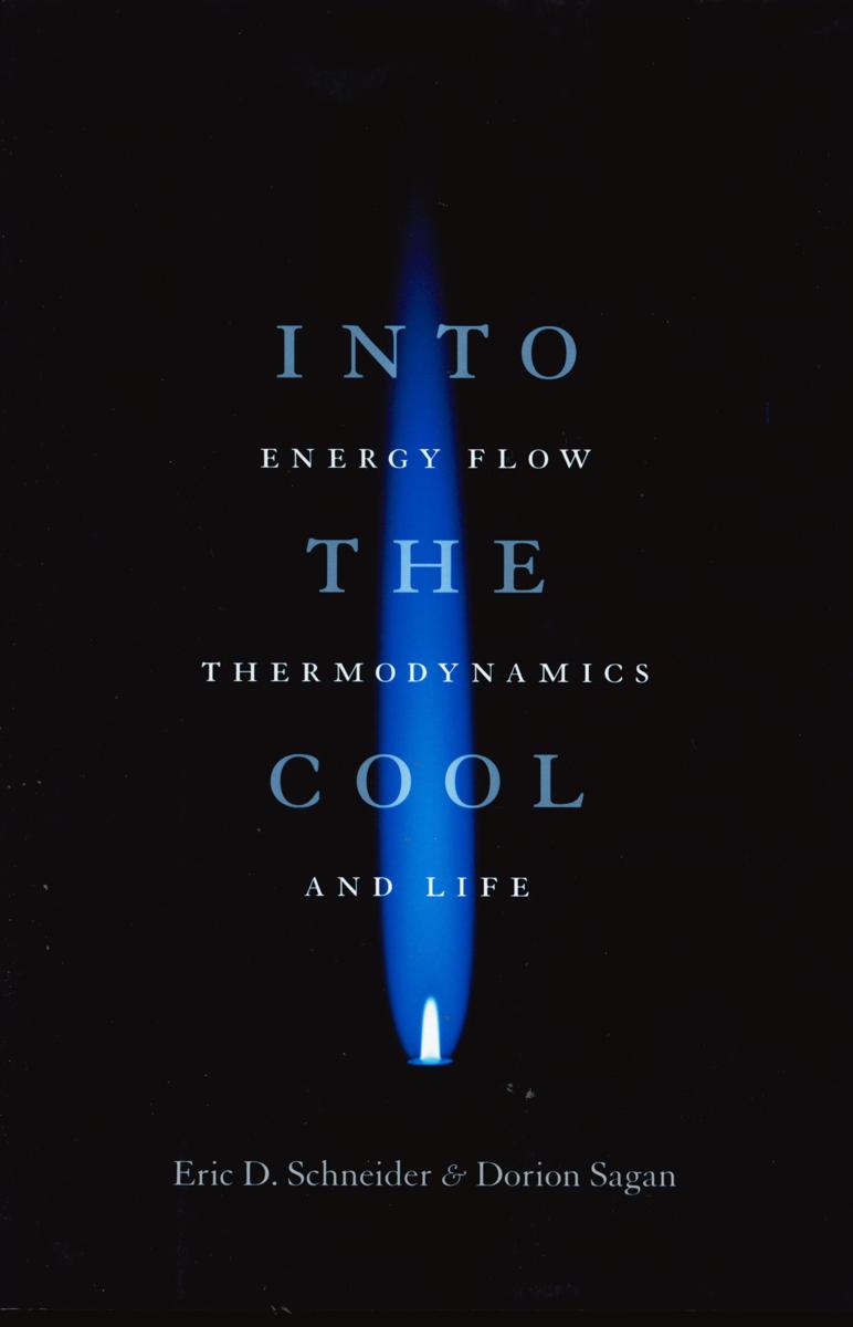 Into the cool : energy flow, thermodynamics and life cover