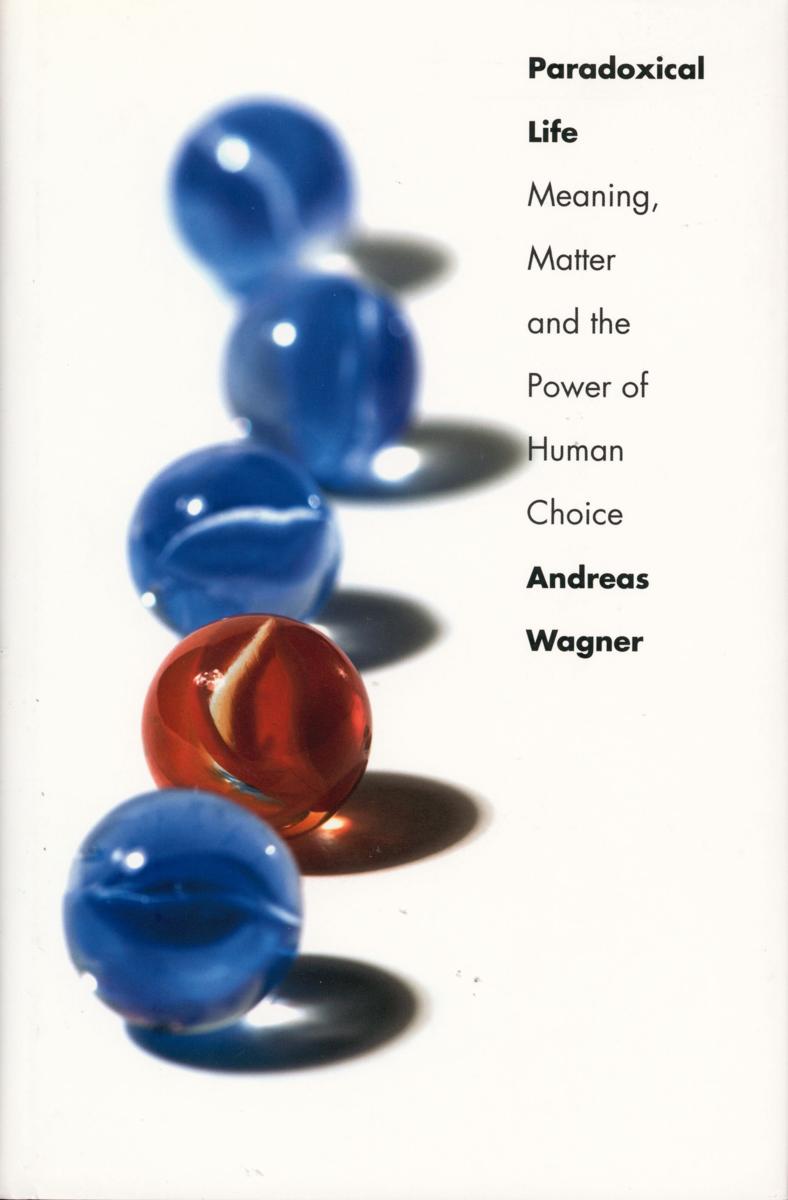 Paradoxical life : meaning, matter and the power of human choice cover