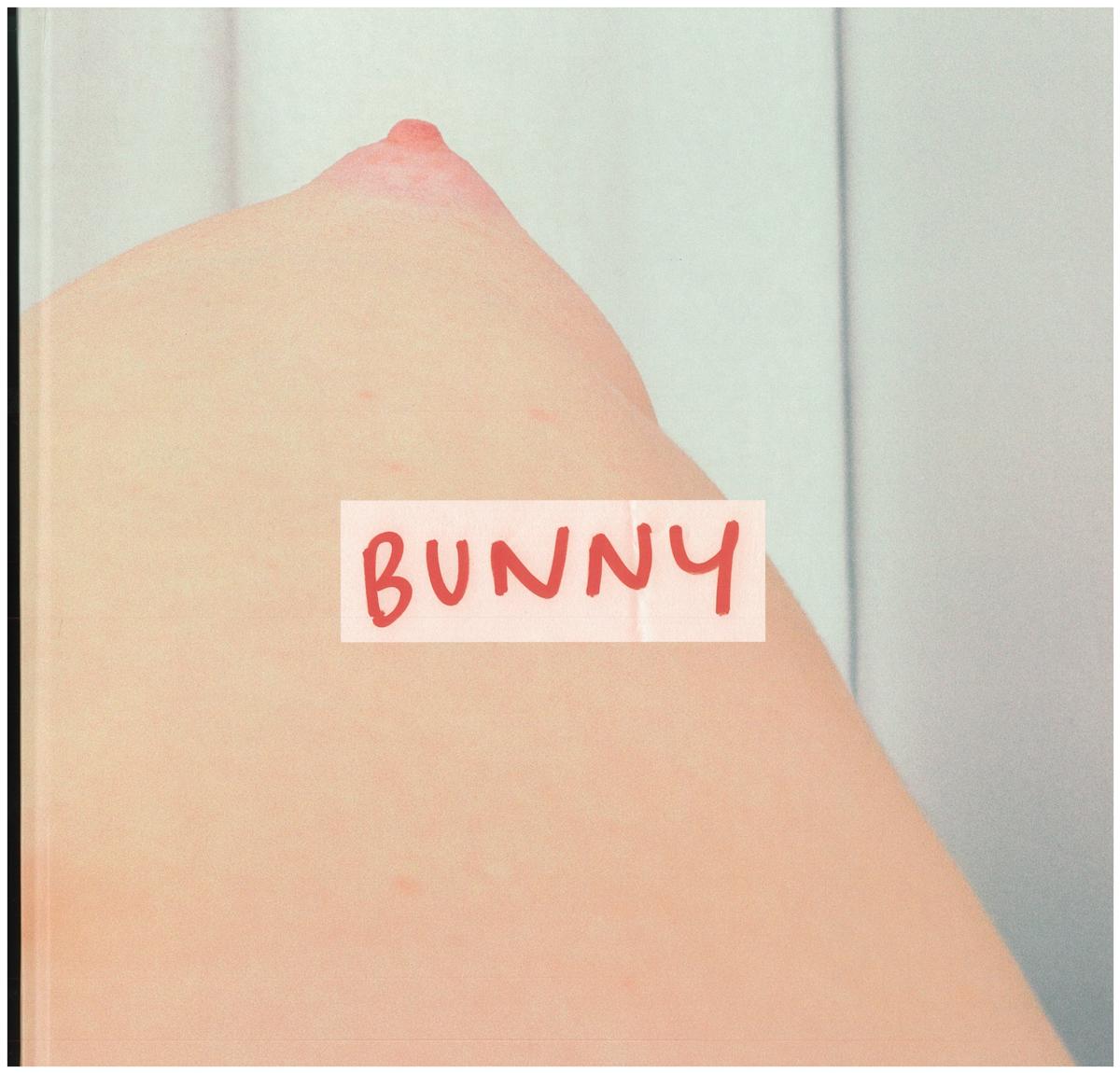 Bunny : starring Gwendoline Christie cover