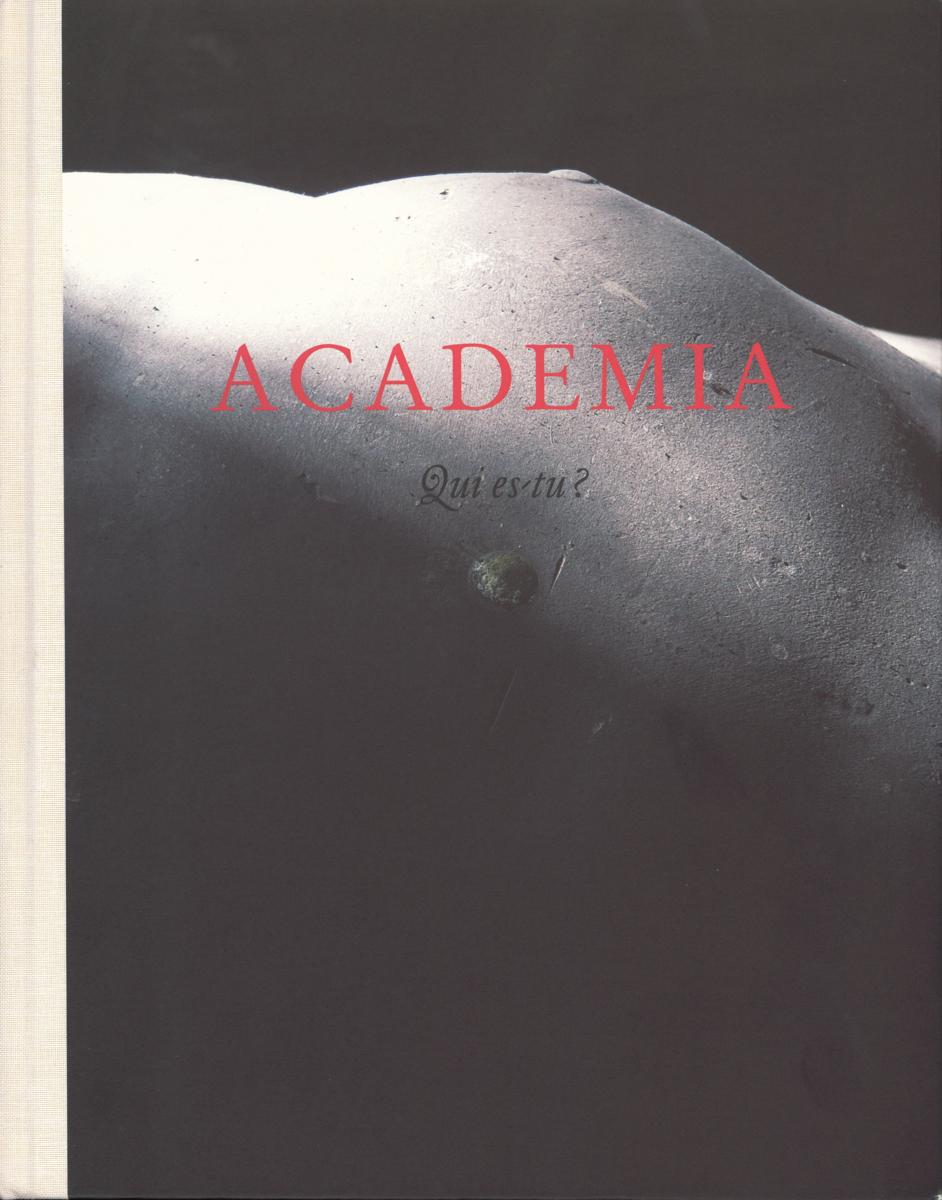 Academia : qui es-tu? cover