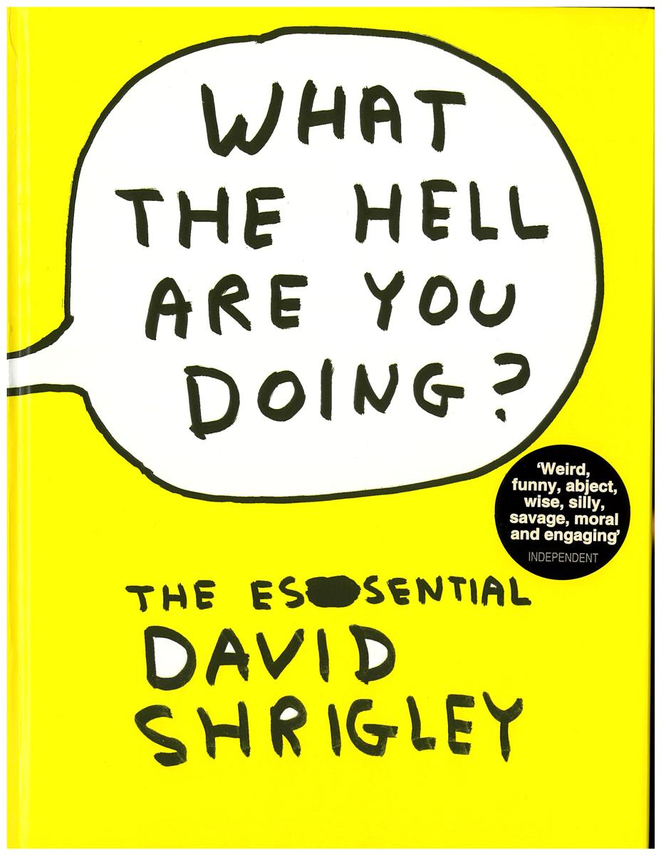 What the hell are you doing? : the essential David Shrigley cover