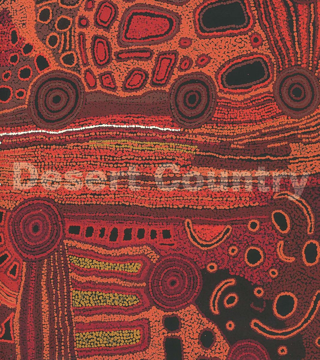 Desert country / Nici Cumpson with Barry Patton cover