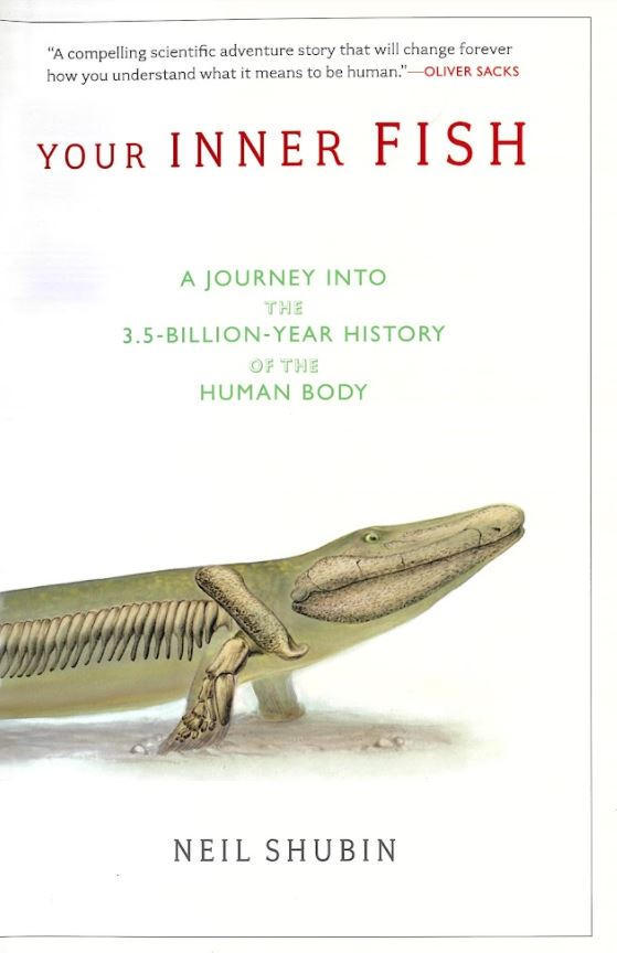 Your inner fish : a journey into the 3.5 billion year history of the human body cover