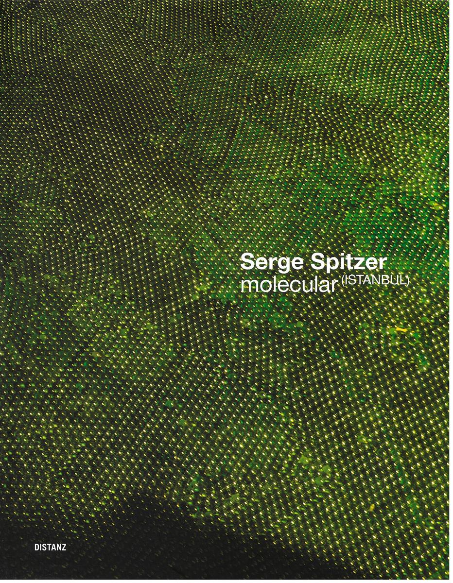 Serge Spitzer : molecular (Istanbul) cover