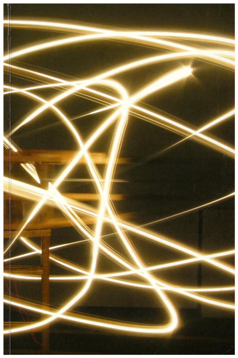 Conrad Shawcross: the steady states cover