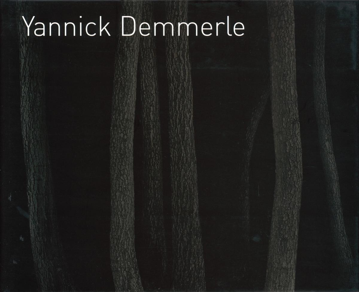 Yannick Demmerle cover