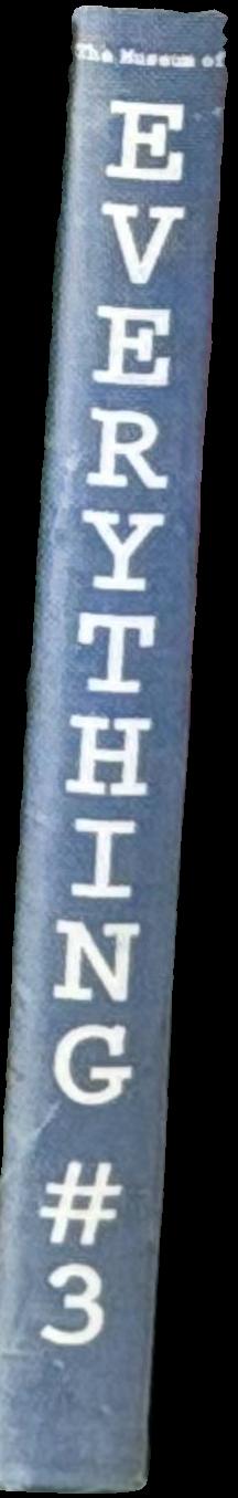The Museum of Everything : everything #3 spine