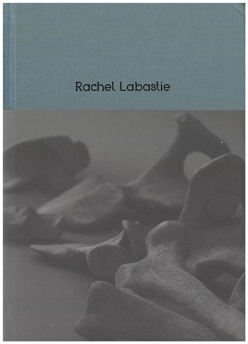 De l'apparence des choses : chapitre III : vestiges cover