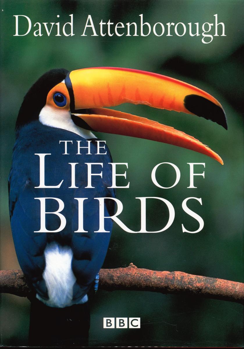 The life of birds cover