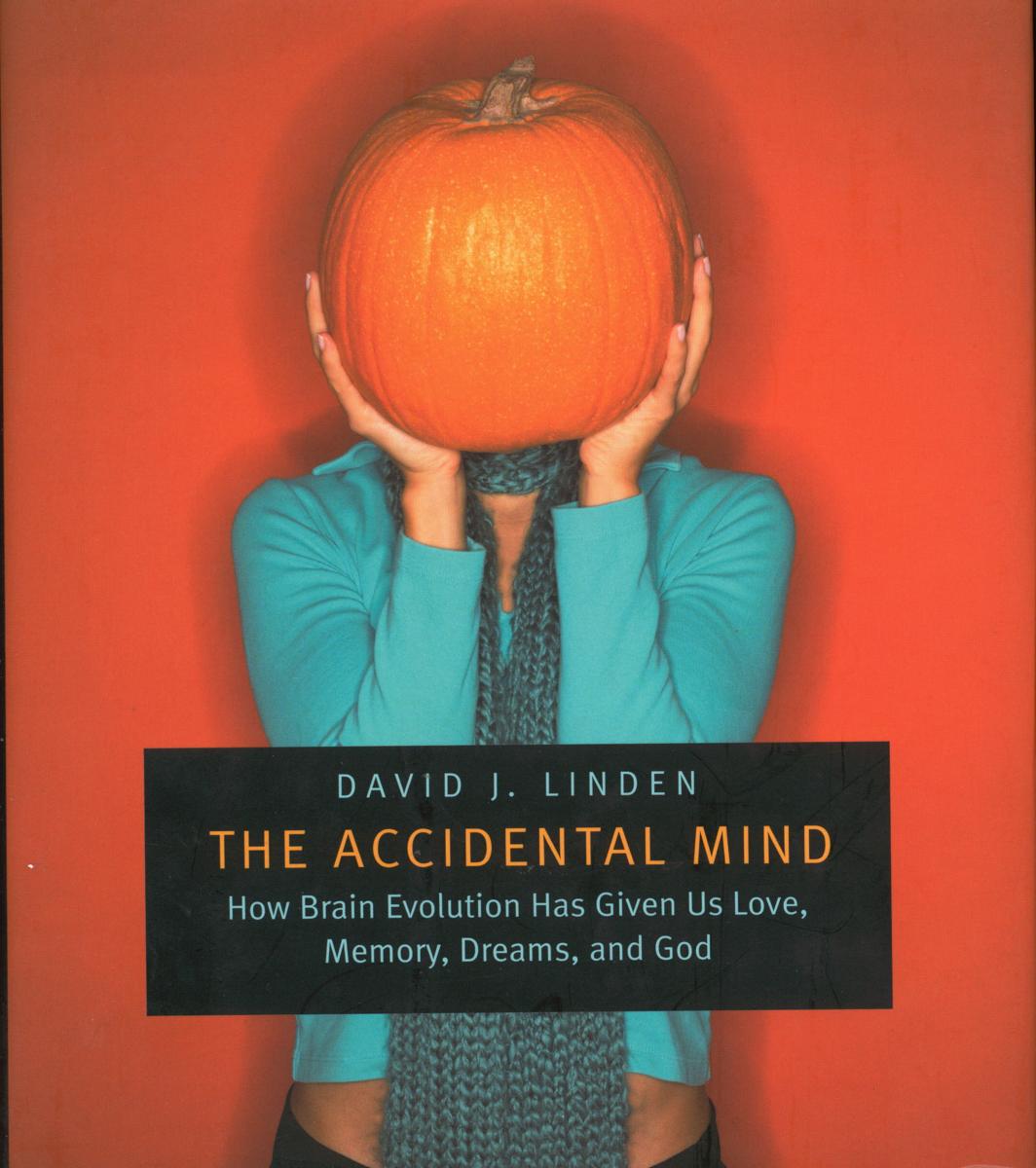 The accidental mind cover