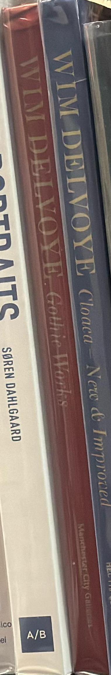 Wim Delvoye : Gothic works spine