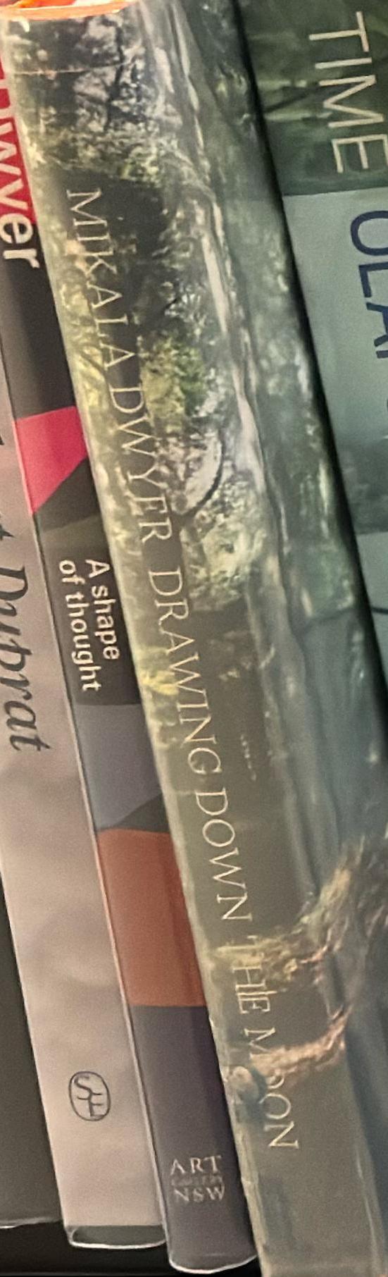 Mikala Dwyer : drawing down the moon spine