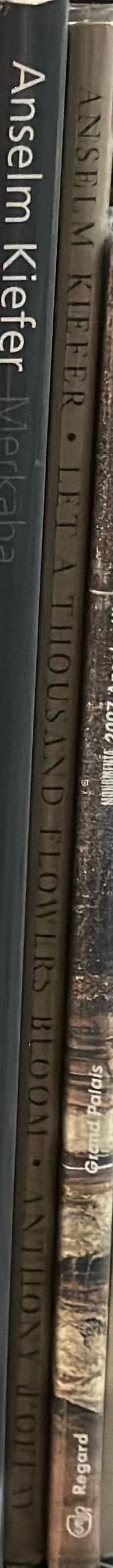 Anselm Kiefer : let a thousand flowers bloom spine