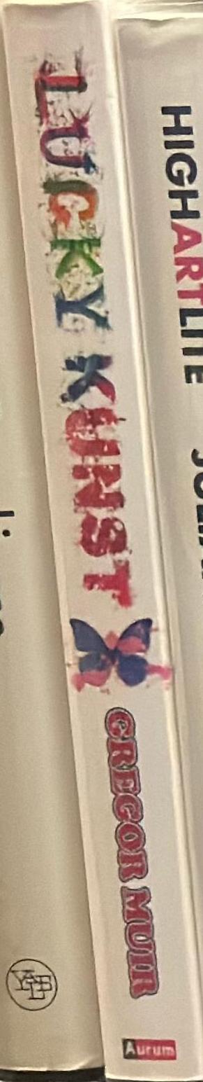 Lucky kunst : the rise and fall of young British art spine