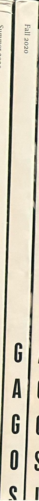 Henry Hudson : the rise and fall of Young Sen, the contemporary artist's progress : a selling exhibition, 23 April-29 May 2015 spine