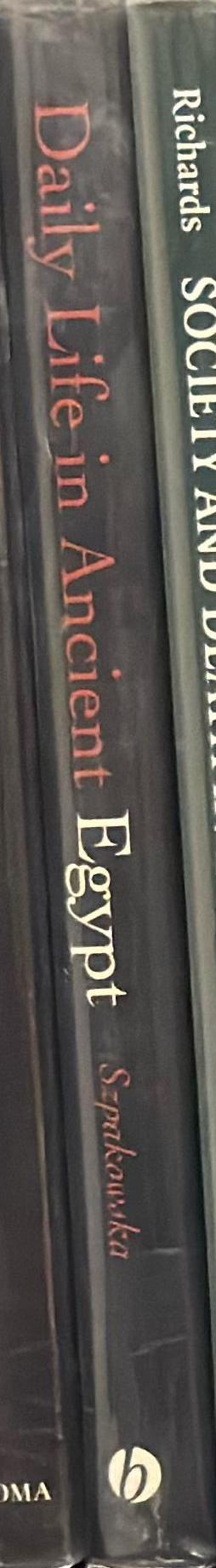 Daily life in ancient Egypt : recreating Lahun spine